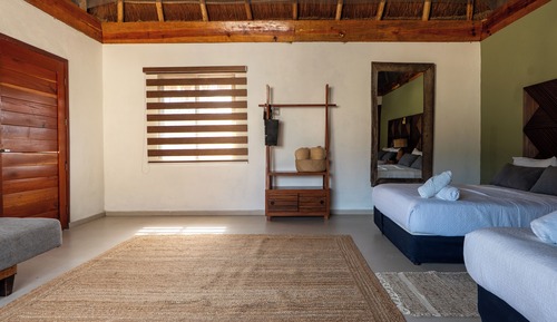 Junior Double Room, Terrace