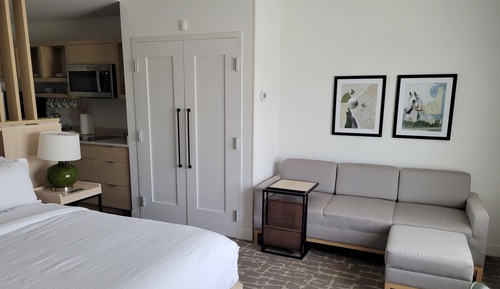 Standard Studio, 1 King Bed with Sofa bed (Hearing Accessible)