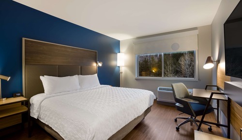 Room, 1 King Bed