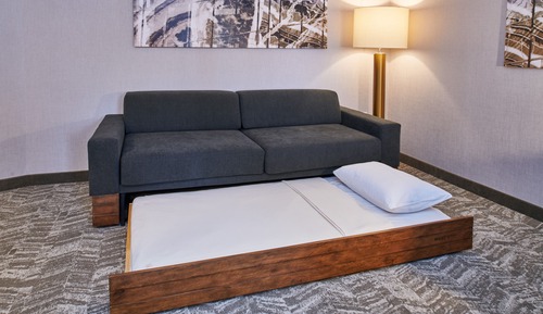 Suite, 1 King Bed with Sofa bed
