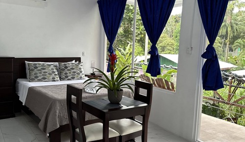 Superior Room, 1 Queen Bed, Kitchenette, Park View