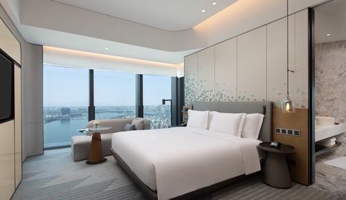 Suite, 1 King Bed (Ambassador)