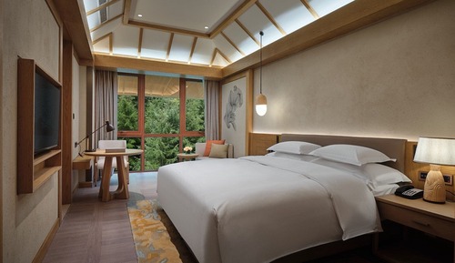 Standard Room, 1 King Bed, Mountain View