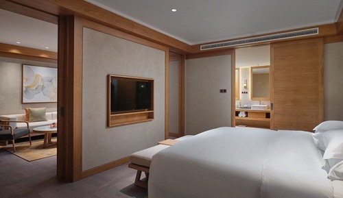Suite, 1 Bedroom, Business Lounge Access, Mountain View