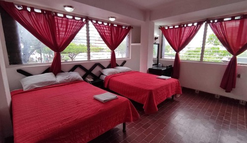 Basic Double Room