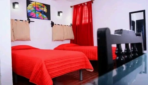 Basic Single Room