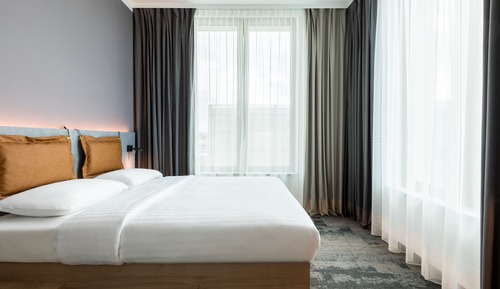 Room, 1 Queen Bed