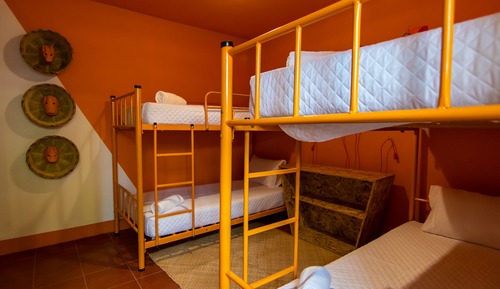 Standard Shared Dormitory