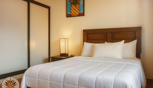Basic Double Room