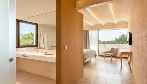 Deluxe Double or Twin Room, Accessible