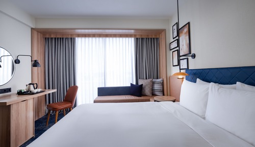Room, 1 King Bed