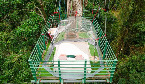 Tree House