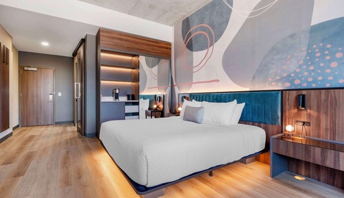1 King Bed, Accessible Roll In-Shower