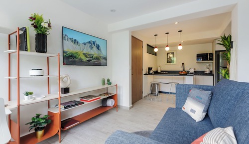Luxury Apartment