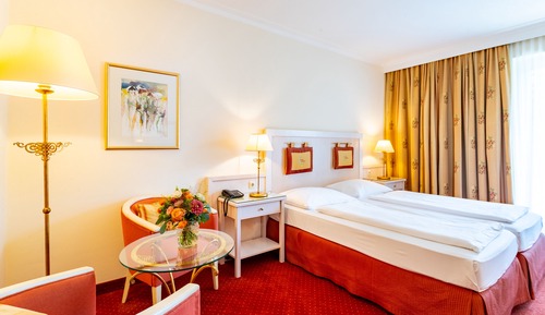 Basic Double Room