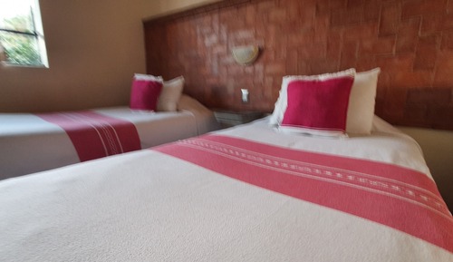 Basic Twin Room