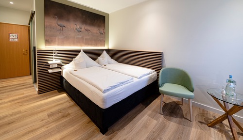 Comfort Single Room, 1 Queen Bed