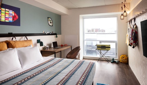 Room, 1 King Bed