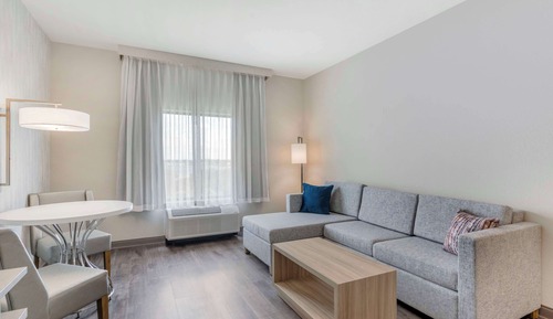 Standard Room, 1 King Bed, Non Smoking (Walk-in Shower;with Sofabed)