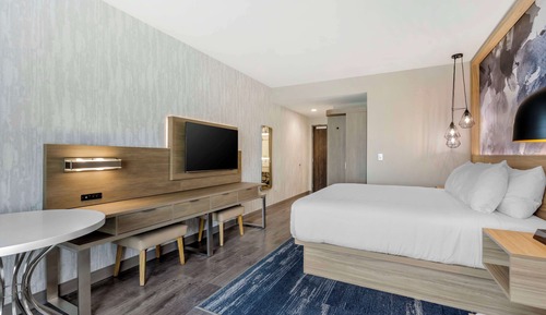 Standard Room, 1 King Bed, Non Smoking (Walk-in Shower)