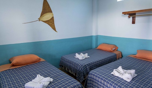 Basic Triple Room