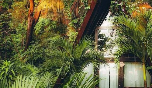 Bungalow Bohemia Maya