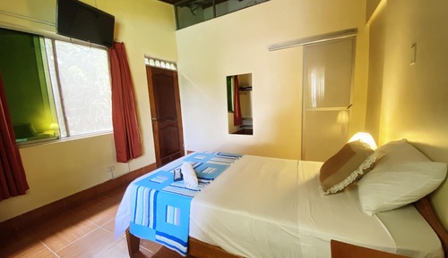 Basic Single Room