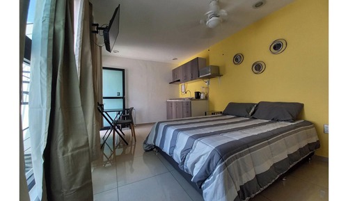 Junior Studio, 1 Queen Bed