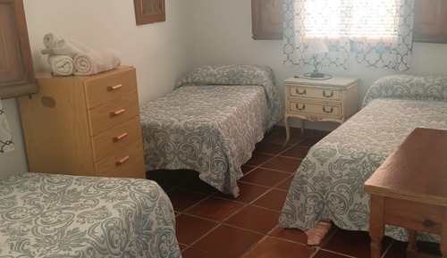 Basic Triple Room