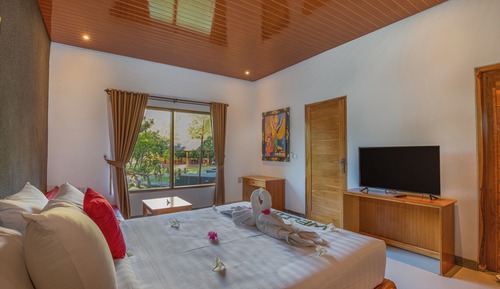 Deluxe Apartment