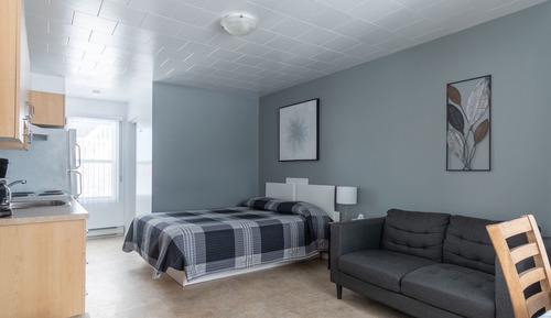 Deluxe Studio, 1 Queen Bed (La calme)