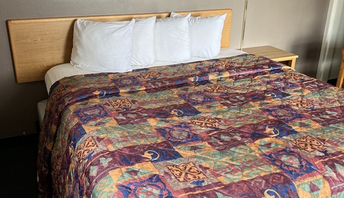 Standard Single Room, 1 King Bed