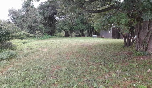Standard (Empty Lot)