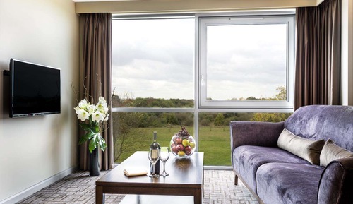 Deluxe King Suite