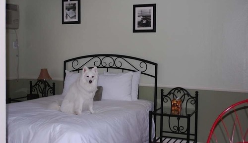Room, 1 Queen Bed, Kitchen