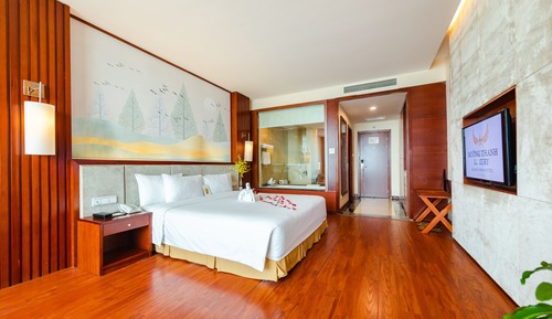 Premium Double Room