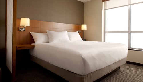 Room, 1 King Bed