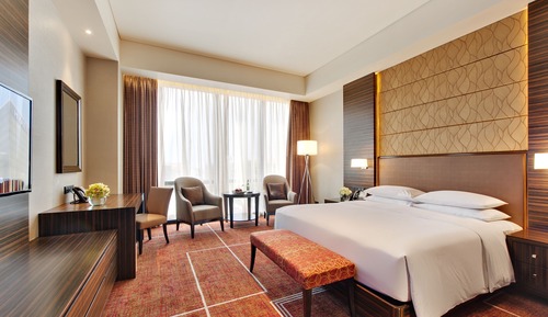 Room, 1 King Bed