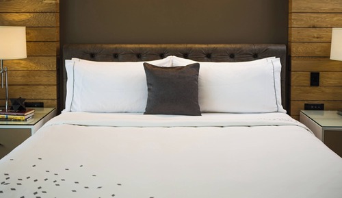 Room, 1 King Bed