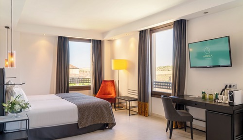 Superior Double Room Single Use
