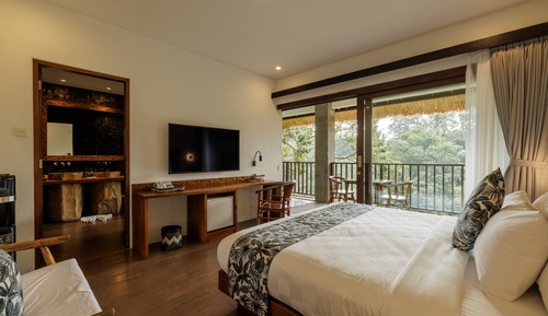 Deluxe Double or Twin Room