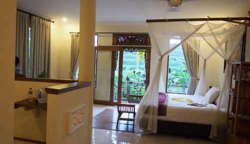 Standard Suite