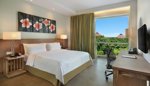 Room, 1 King Bed