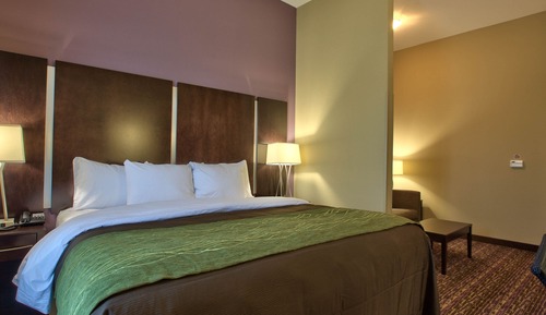 Room, 1 King Bed, Accessible, Non Smoking