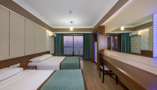 Single Room 