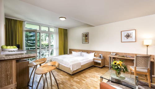 Double Room Single Use