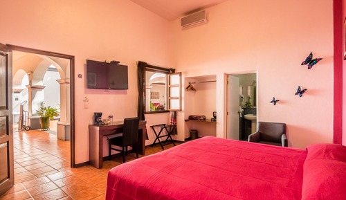 Junior Studio Suite, Refrigerator & Microwave