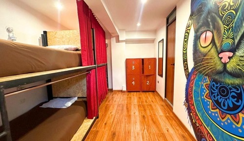 Classic Shared Dormitory, Mixed Dorm