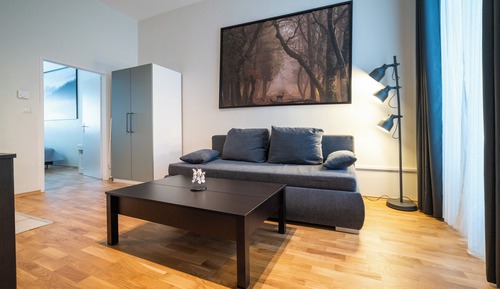 Comfort Apartment