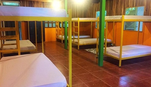 Basic Shared Dormitory